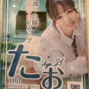 たお 異議あり‼️ ホワイトハウス