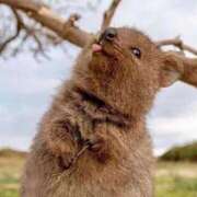 ヒメ日記 2025/08/07 19:47 投稿 みい club Ego