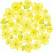 ゆみな 読んでほしいです💌 ロイヤル土佐