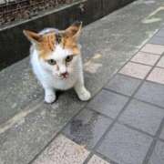 ヒメ日記 2025/03/23 18:39 投稿 ちょこみんと サンキュー福岡店