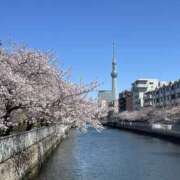 ヒメ日記 2025/04/09 17:27 投稿 あやか 錦糸町人妻セレブリティ（ユメオト）