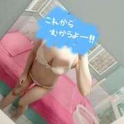 ヒメ日記 2025/03/31 05:45 投稿 ゆいな 若葉