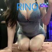 ヒメ日記 2025/06/10 13:57 投稿 リノ アラカルト