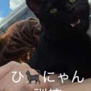 ヒメ日記 2025/08/01 13:55 投稿 リノ アラカルト