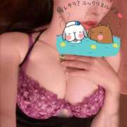 ヒメ日記 2025/10/11 14:08 投稿 リノ アラカルト