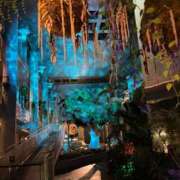 ヒメ日記 2025/11/22 16:06 投稿 リノ アラカルト