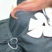 ヒメ日記 2025/10/05 14:09 投稿 かほな 五反田サンキュー