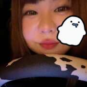 ヒメ日記 2025/05/08 12:10 投稿 なぎ 八尾藤井寺羽曳野ちゃんこ