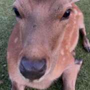 ヒメ日記 2025/09/02 05:15 投稿 なぎ 八尾藤井寺羽曳野ちゃんこ