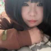 なぎ しゅきん 八尾藤井寺羽曳野ちゃんこ