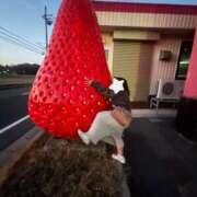 ヒメ日記 2026/01/26 16:56 投稿 なぎ 八尾藤井寺羽曳野ちゃんこ