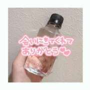 ヒメ日記 2025/04/08 08:20 投稿 ゆずき SPIN(スピン)