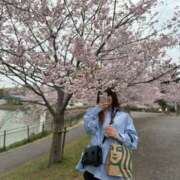 ヒメ日記 2025/05/08 13:52 投稿 唯愛-いのり- スピード京橋店