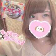 ヒメ日記 2026/02/15 06:00 投稿 あお カワサキ EROTIC