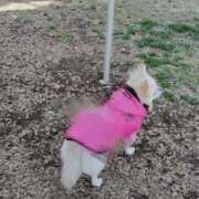 ヒメ日記 2025/02/24 10:55 投稿 水口 鶯谷人妻城