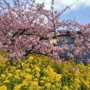 ヒメ日記 2025/03/02 10:29 投稿 水口 鶯谷人妻城