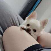 ヒメ日記 2025/10/14 23:01 投稿 水口 鶯谷人妻城