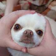 ヒメ日記 2025/10/17 20:18 投稿 水口 鶯谷人妻城