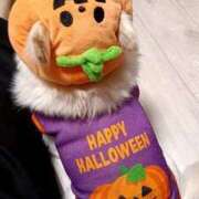 ヒメ日記 2025/10/29 23:06 投稿 水口 鶯谷人妻城