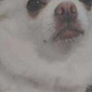 ヒメ日記 2025/11/12 22:02 投稿 水口 鶯谷人妻城