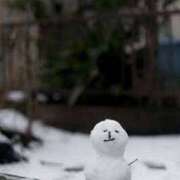 ヒメ日記 2026/01/28 19:31 投稿 水口 鶯谷人妻城