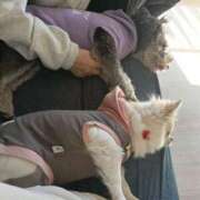 ヒメ日記 2026/01/31 14:17 投稿 水口 鶯谷人妻城