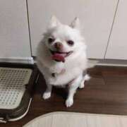 ヒメ日記 2026/03/23 19:49 投稿 水口 鶯谷人妻城