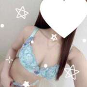 ヒメ日記 2025/04/17 13:44 投稿 おと LOVE CLOVER（らぶくろーばー）