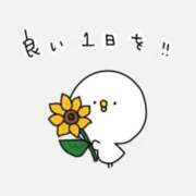 ヒメ日記 2025/06/20 07:33 投稿 東条　愛莉 タッチVIP