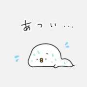 ヒメ日記 2025/06/26 23:03 投稿 東条　愛莉 タッチVIP