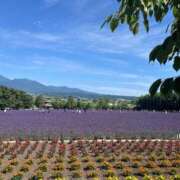 ヒメ日記 2025/07/15 23:33 投稿 東条　愛莉 タッチVIP