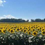 ヒメ日記 2025/08/31 23:39 投稿 東条　愛莉 タッチVIP