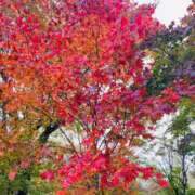 ヒメ日記 2025/10/15 19:09 投稿 東条　愛莉 タッチVIP