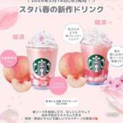 東条　愛莉 飲みたい タッチVIP