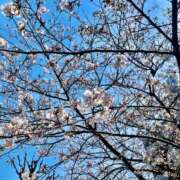ヒメ日記 2026/04/27 22:27 投稿 東条　愛莉 タッチVIP