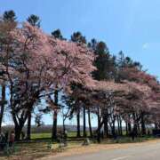 ヒメ日記 2026/04/30 21:19 投稿 東条　愛莉 タッチVIP