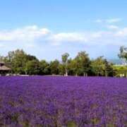 ヒメ日記 2026/07/13 21:18 投稿 東条　愛莉 タッチVIP