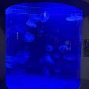 ヒメ日記 2026/08/28 00:03 投稿 東条　愛莉 タッチVIP