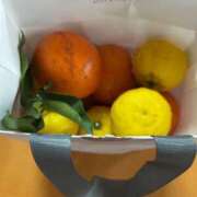 ヒメ日記 2024/12/12 07:35 投稿 あかね 横浜おかあさん