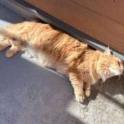 ヒメ日記 2024/12/15 12:25 投稿 あかね 横浜おかあさん