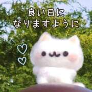 ヒメ日記 2025/01/22 07:55 投稿 あかね 横浜おかあさん