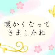 ヒメ日記 2025/02/26 08:05 投稿 あかね 横浜おかあさん