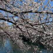 ヒメ日記 2025/04/09 16:25 投稿 あかね 横浜おかあさん