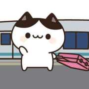 ヒメ日記 2025/05/02 09:27 投稿 あかね 横浜おかあさん