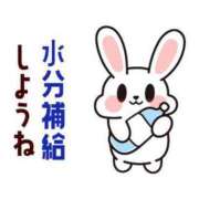 ヒメ日記 2025/05/13 06:35 投稿 あかね 横浜おかあさん