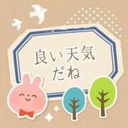 ヒメ日記 2025/05/16 06:27 投稿 あかね 横浜おかあさん