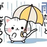 ヒメ日記 2025/06/10 09:27 投稿 あかね 横浜おかあさん