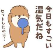 ヒメ日記 2025/06/15 11:25 投稿 あかね 横浜おかあさん