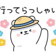 ヒメ日記 2025/07/24 07:05 投稿 あかね 横浜おかあさん