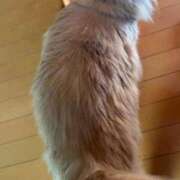 ヒメ日記 2025/07/27 07:45 投稿 あかね 横浜おかあさん